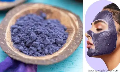 Is Butterfly Pea Powder a Natural Beauty Secret?
